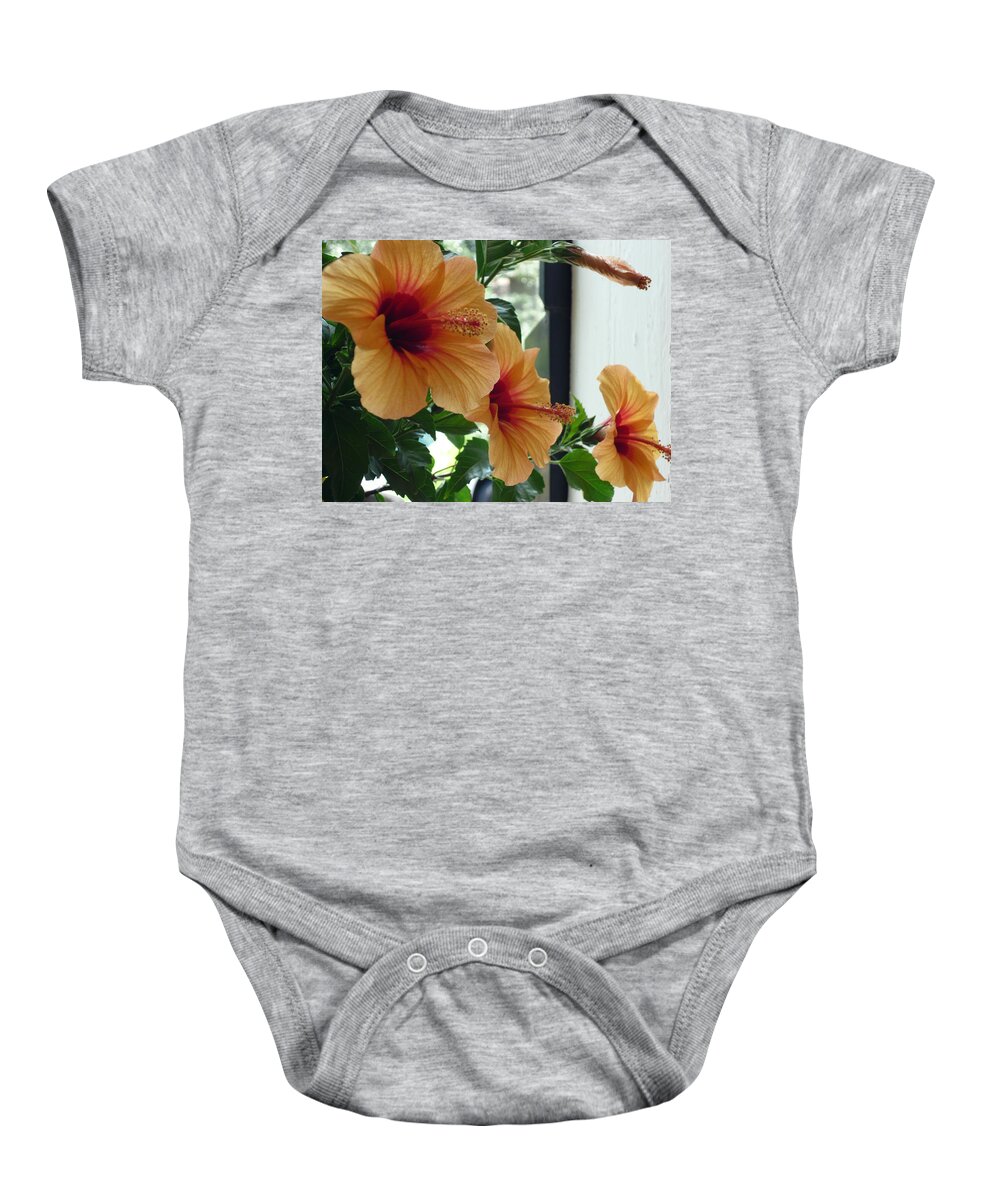 Photography Flower Floral Bloom Hibiscus Peach Baby Onesie featuring the photograph Friends for a day by Karin Dawn Kelshall- Best
