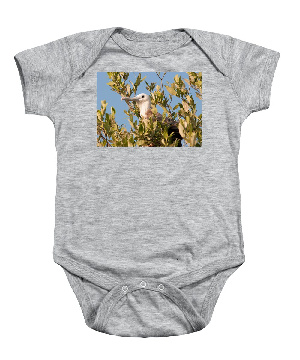 Mexico Quintana Roo Baby Onesie featuring the digital art Frigate at Sian Ka'an Biosphere by Carol Ailles