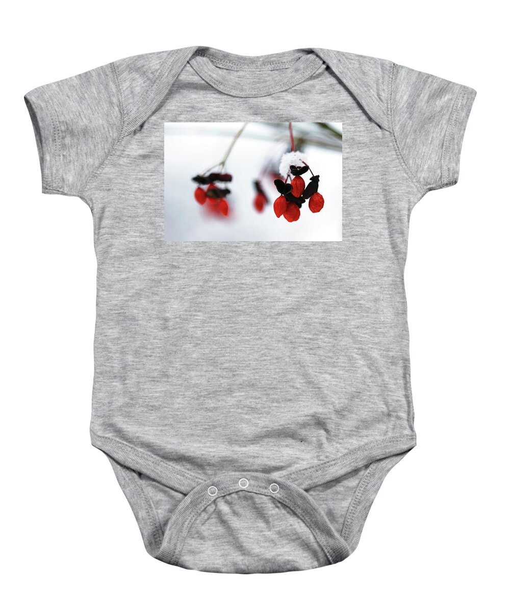 Snow Baby Onesie featuring the photograph Frozen Fruit by Debbie Oppermann