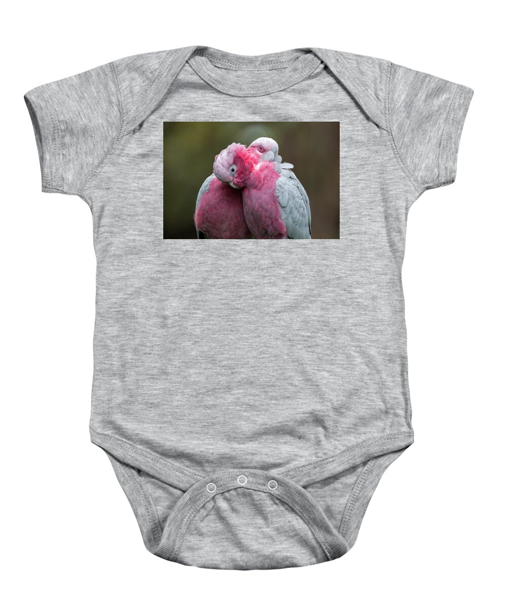 Bird Baby Onesie featuring the photograph Galahs by Diana Andersen