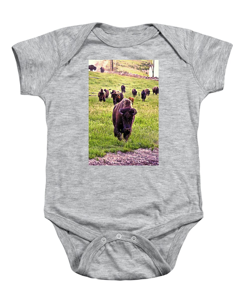 Buffalo Baby Onesie featuring the photograph Gang of Buffalo by La Dolce Vita