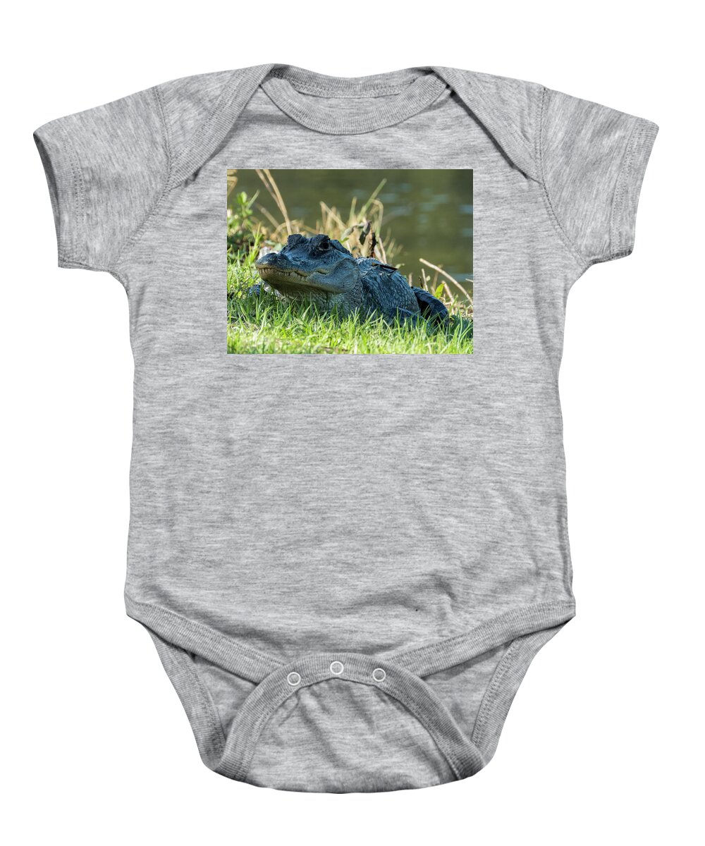 Gator Baby Onesie featuring the photograph Gator 85 by J M Farris Photography