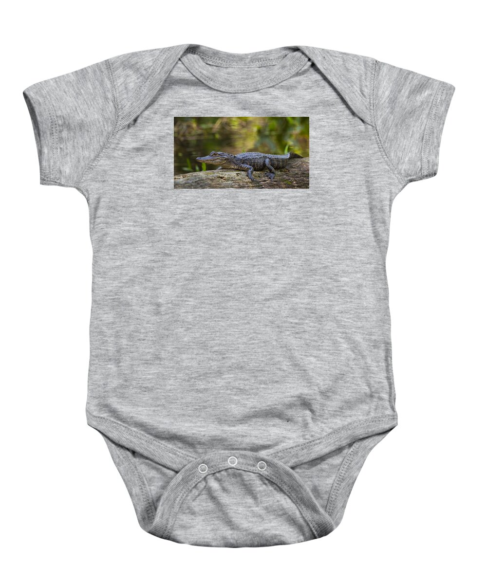 Southwest Baby Onesie featuring the photograph Gator Time by Sean Allen