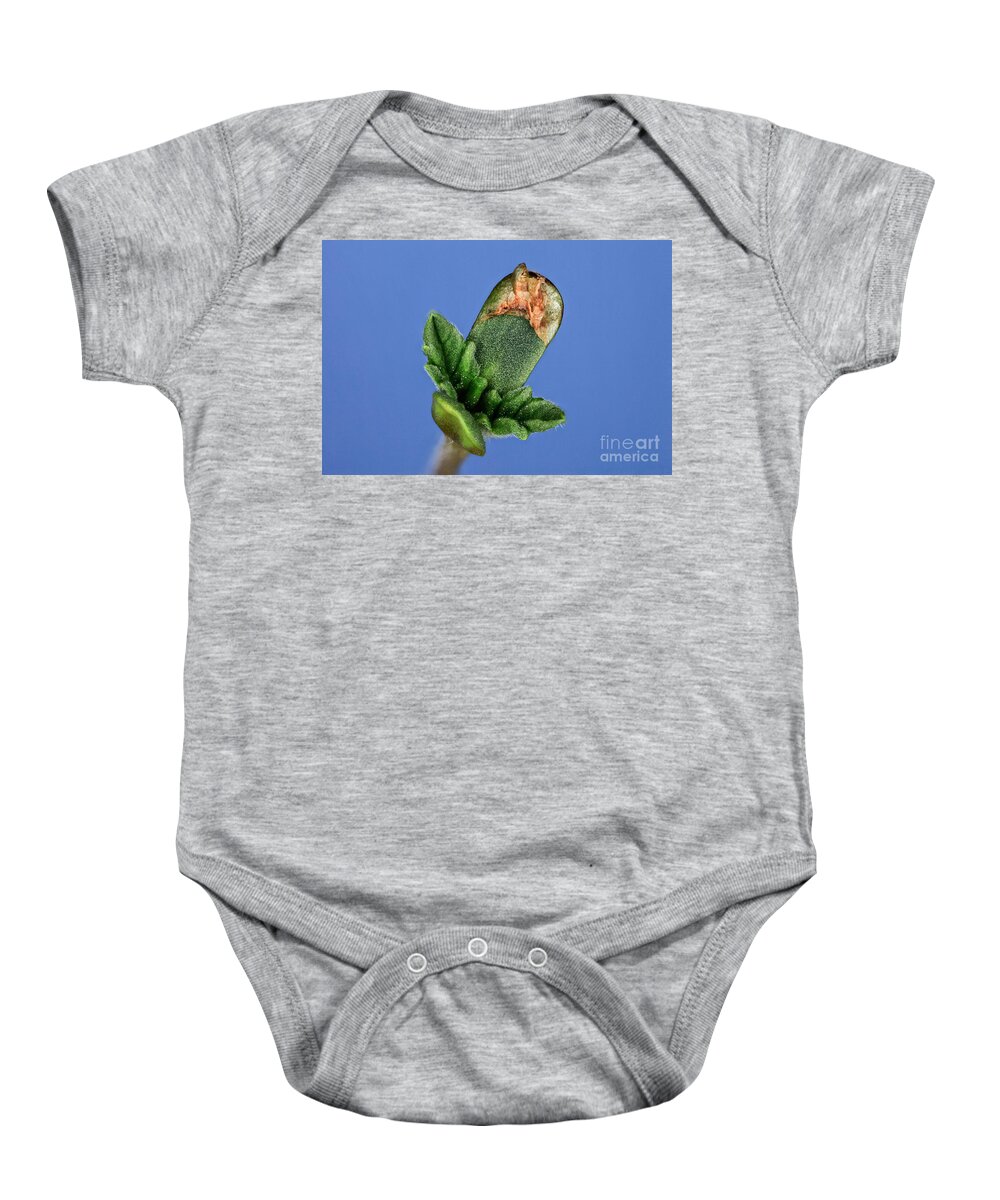 Biological Baby Onesie featuring the photograph Germinating Marijuana Seed by Ted Kinsman