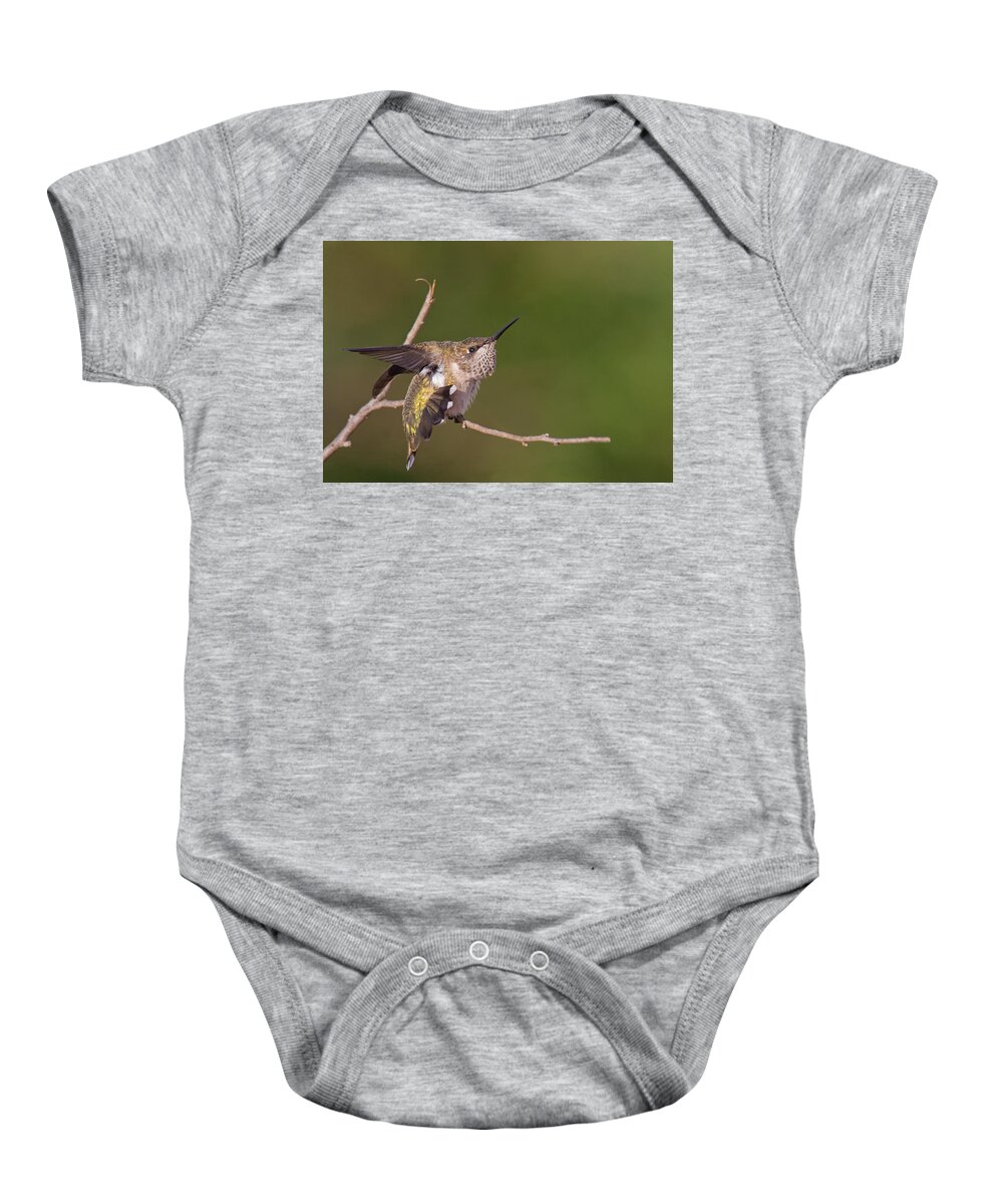 Ruby-throated Hummingbird Baby Onesie featuring the photograph Getting Ready To Fly by Jim Zablotny
