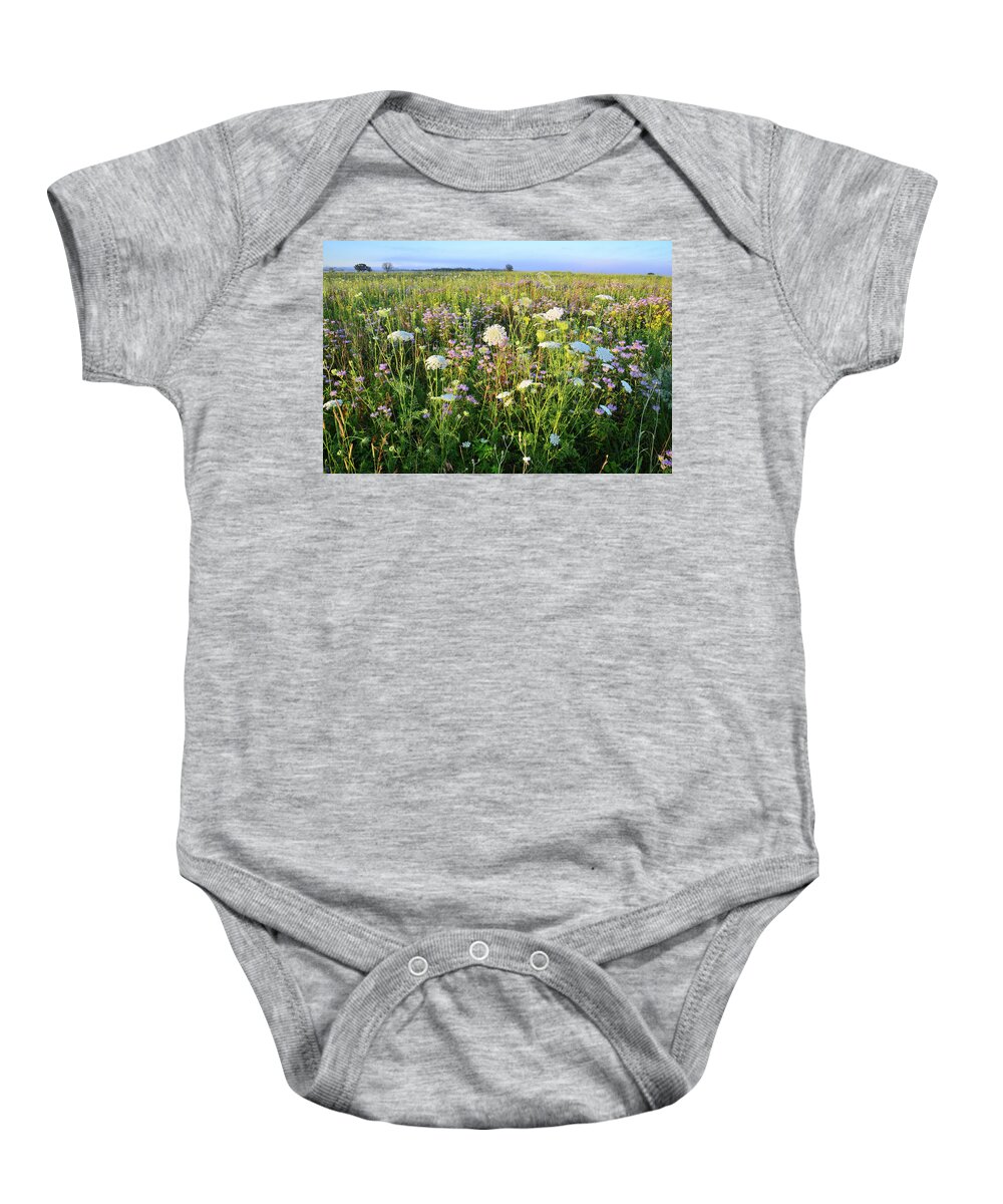 Black Eyed Susan Baby Onesie featuring the photograph Glacial Park Wildflower Prairie by Ray Mathis