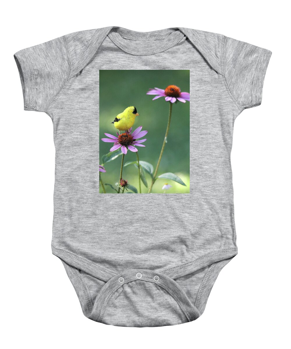 American Goldfinch Baby Onesie featuring the photograph Goldfinch on a Coneflower by Trina Ansel