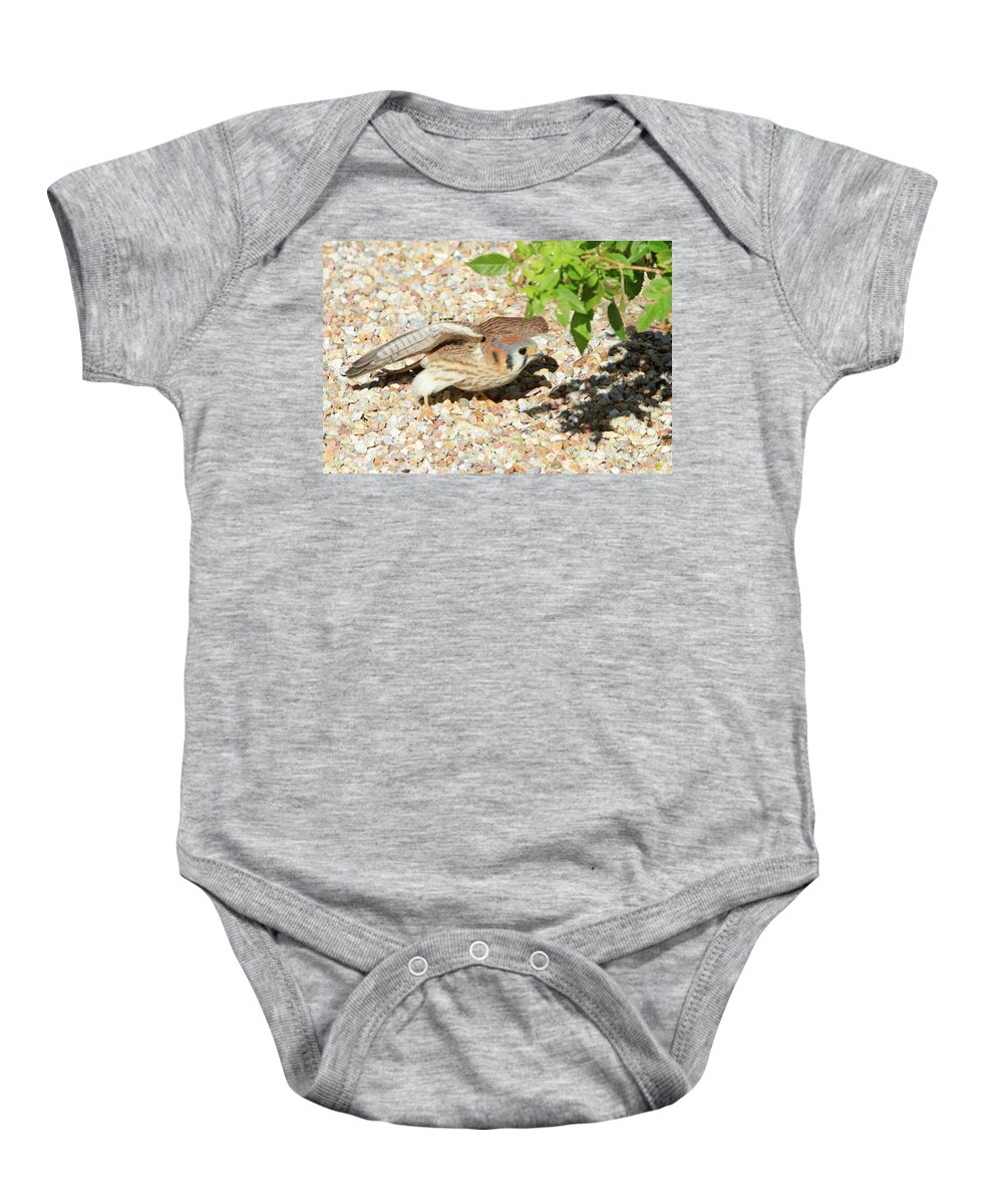 Kestrel Baby Onesie featuring the photograph Gotcha by Shoal Hollingsworth