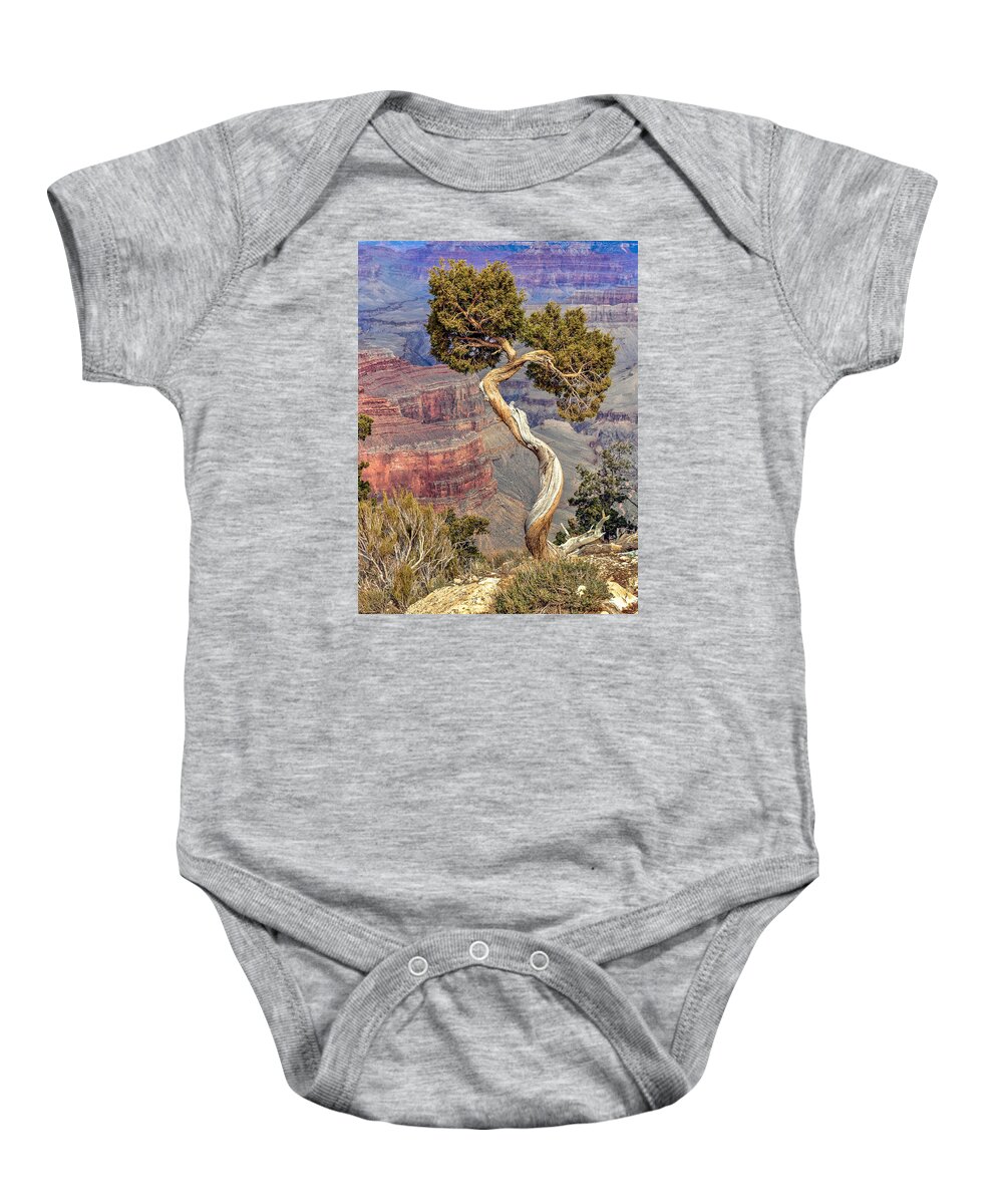 Grand Canyon Baby Onesie featuring the photograph Grand Canyon Cedar by David Meznarich