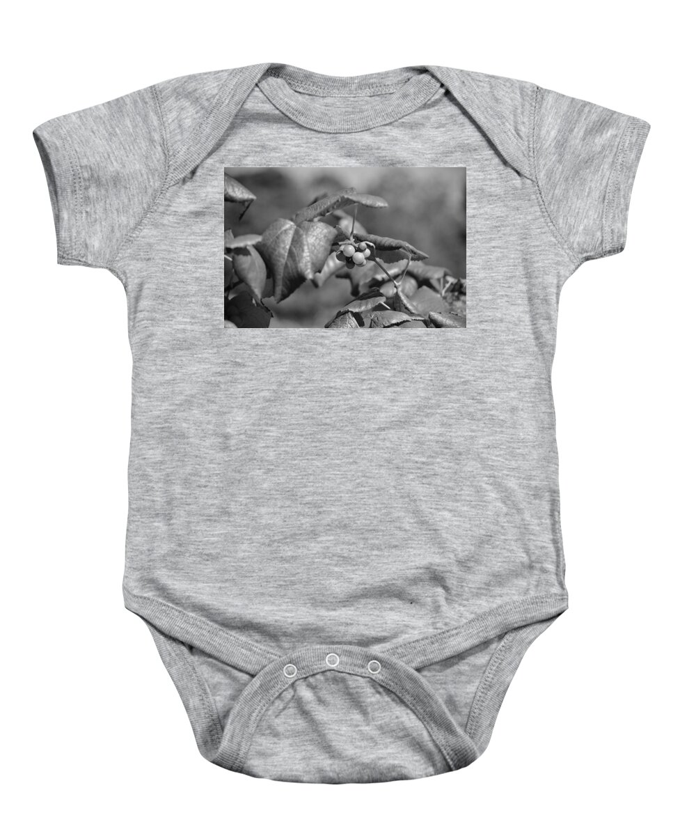 Grapes Baby Onesie featuring the photograph Grapes on the vine by Joseph Caban