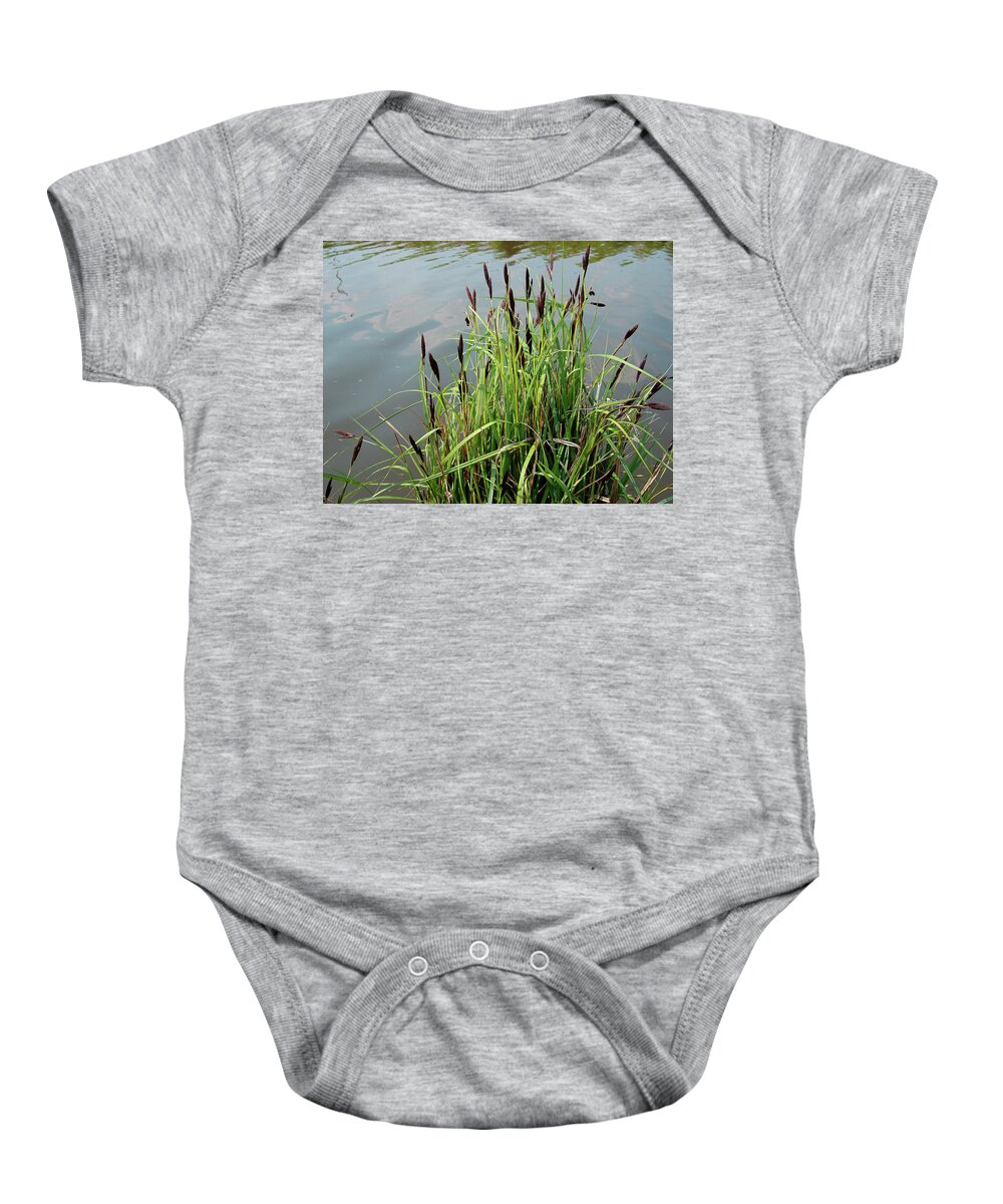Europe Baby Onesie featuring the photograph Grasses With Seed Heads by Rod Johnson