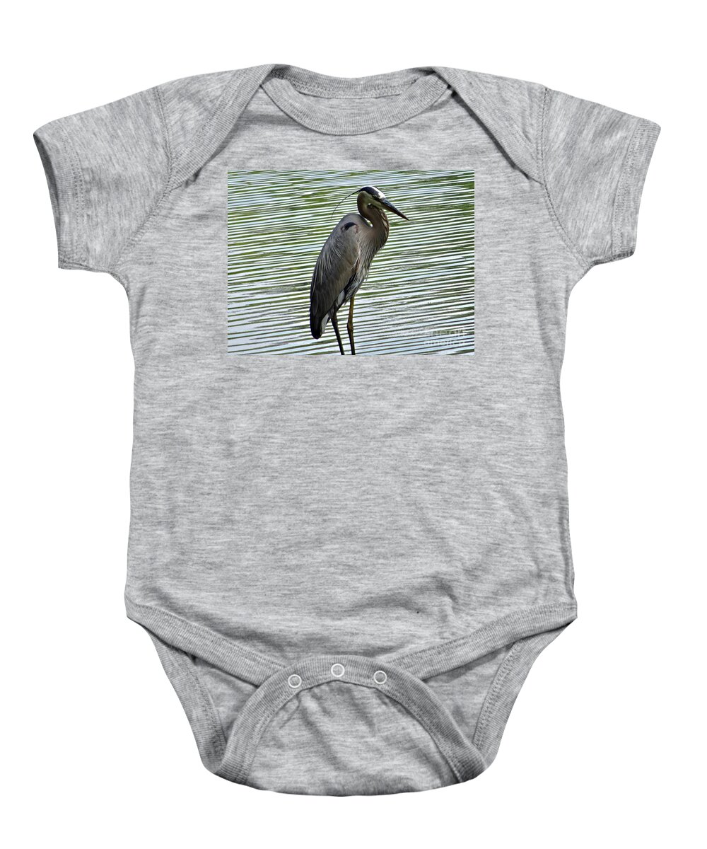 3 Star Baby Onesie featuring the photograph Great Blue Heron at Wash. Crossing Park-021 by Christopher Plummer
