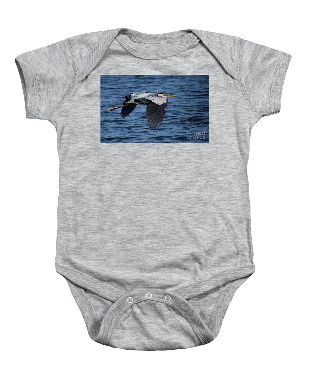 Names Of Birds Baby Onesie featuring the photograph Great Blue Heron In Flight by Skip Willits