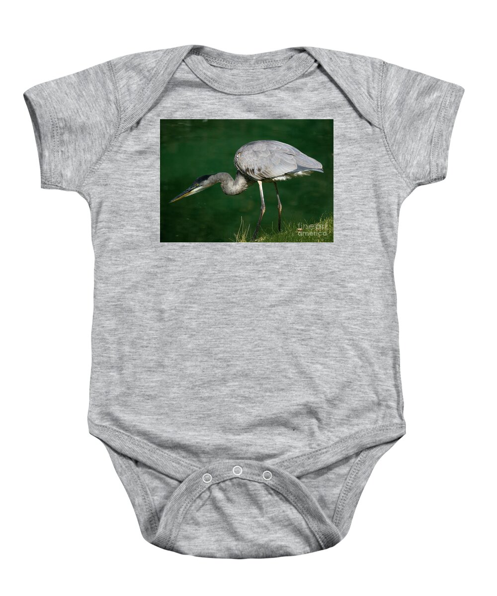 Animal Baby Onesie featuring the photograph Great Blue Heron series by Tom Brickhouse