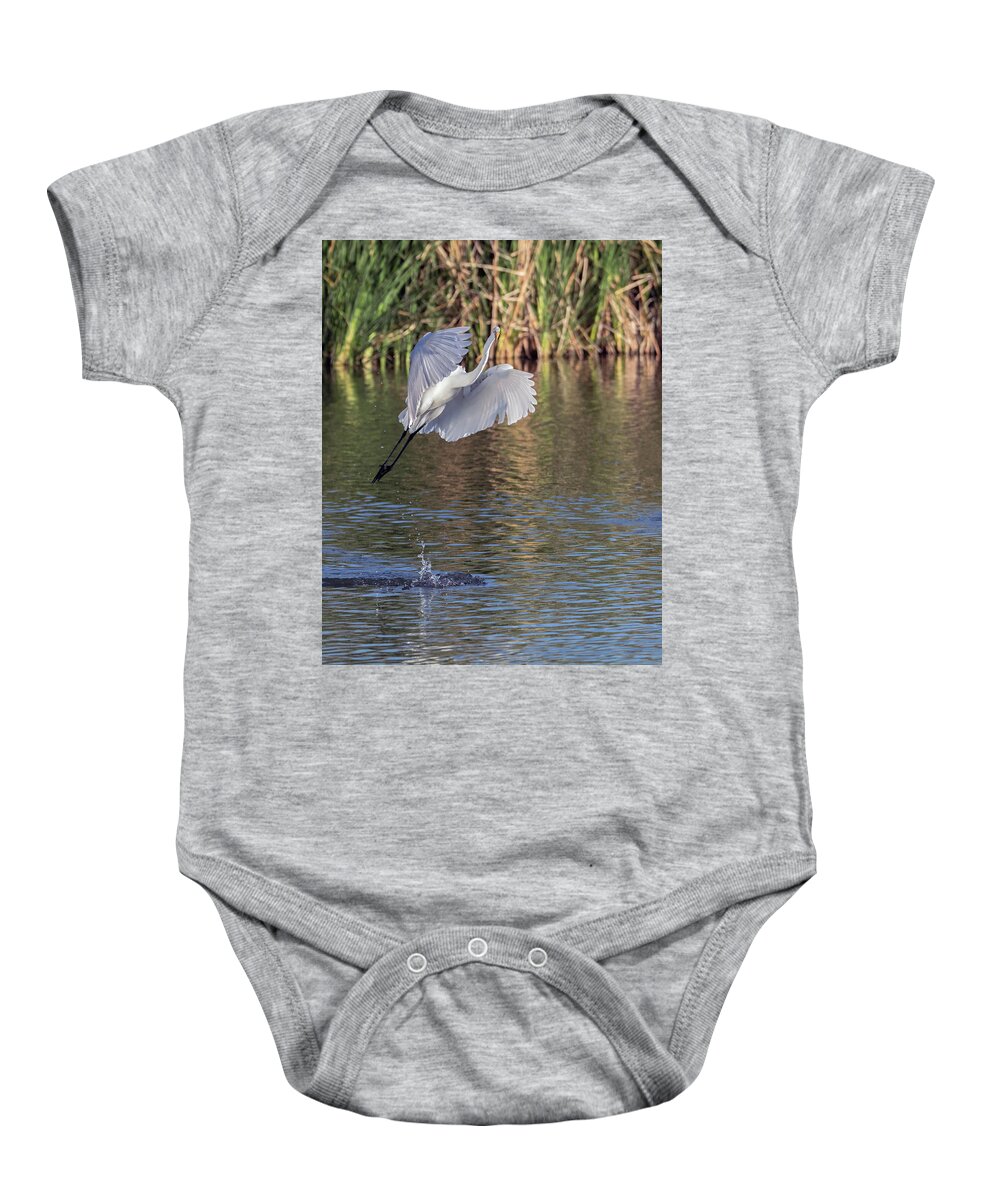Great Baby Onesie featuring the photograph Great Egret 5907-021018-2cr by Tam Ryan