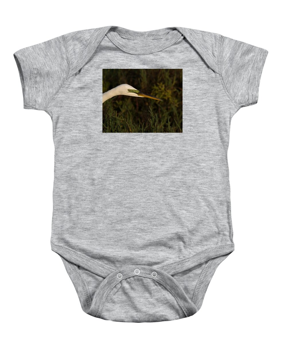 Birds Baby Onesie featuring the photograph Great Egret Close Up by Ernest Echols