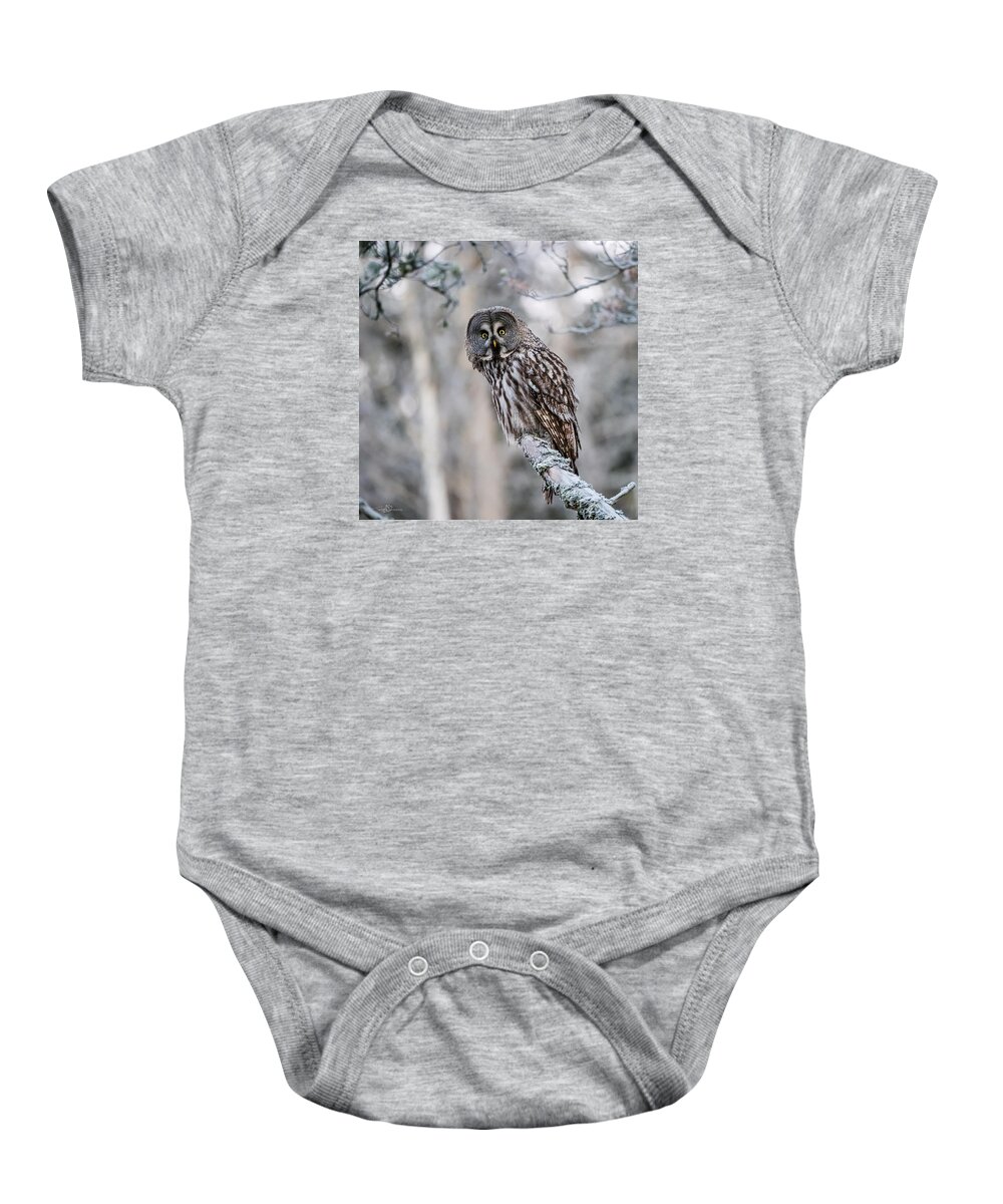 Great Gray Owl Baby Onesie featuring the photograph Great Grey Owl by Torbjorn Swenelius