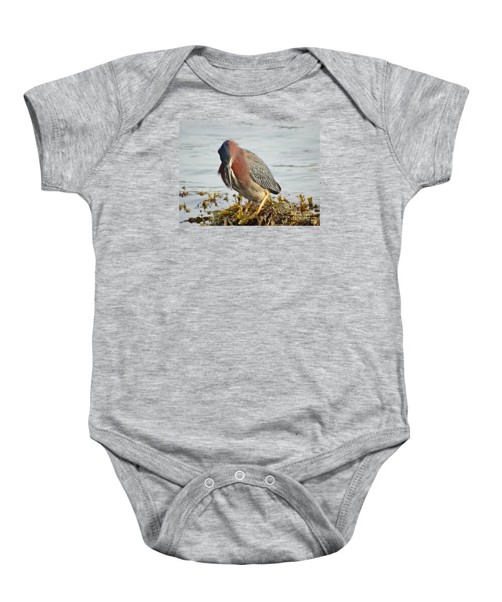 Green Heron Baby Onesie featuring the photograph Green Heron on Pause by Pat Miller