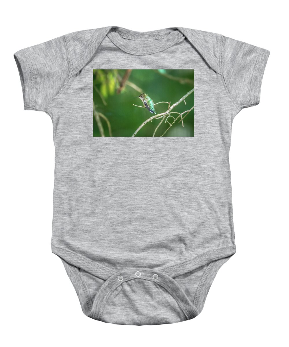 Green Baby Onesie featuring the photograph Green Hummingbird Pirched On A Tree In A Wild by Alex Grichenko