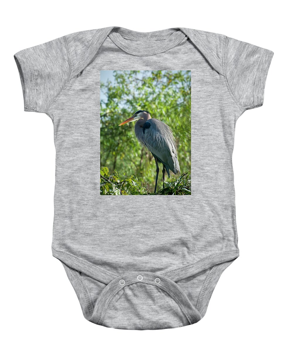 Bird Baby Onesie featuring the photograph Great Blue Heron by Ginger Stein
