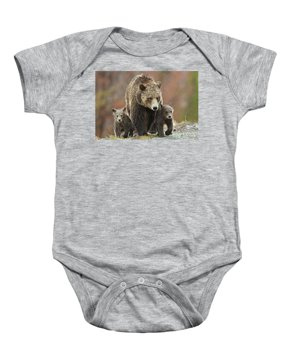 Grizzly Baby Onesie featuring the photograph Grizzly Family by Wesley Aston