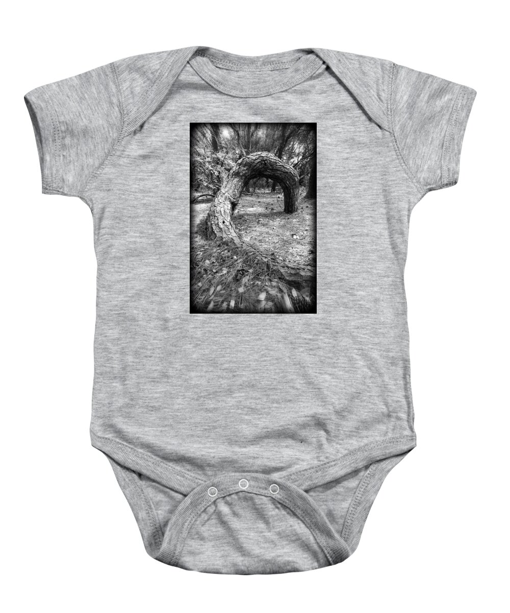 Pine Baby Onesie featuring the photograph Grounded by Alan Raasch