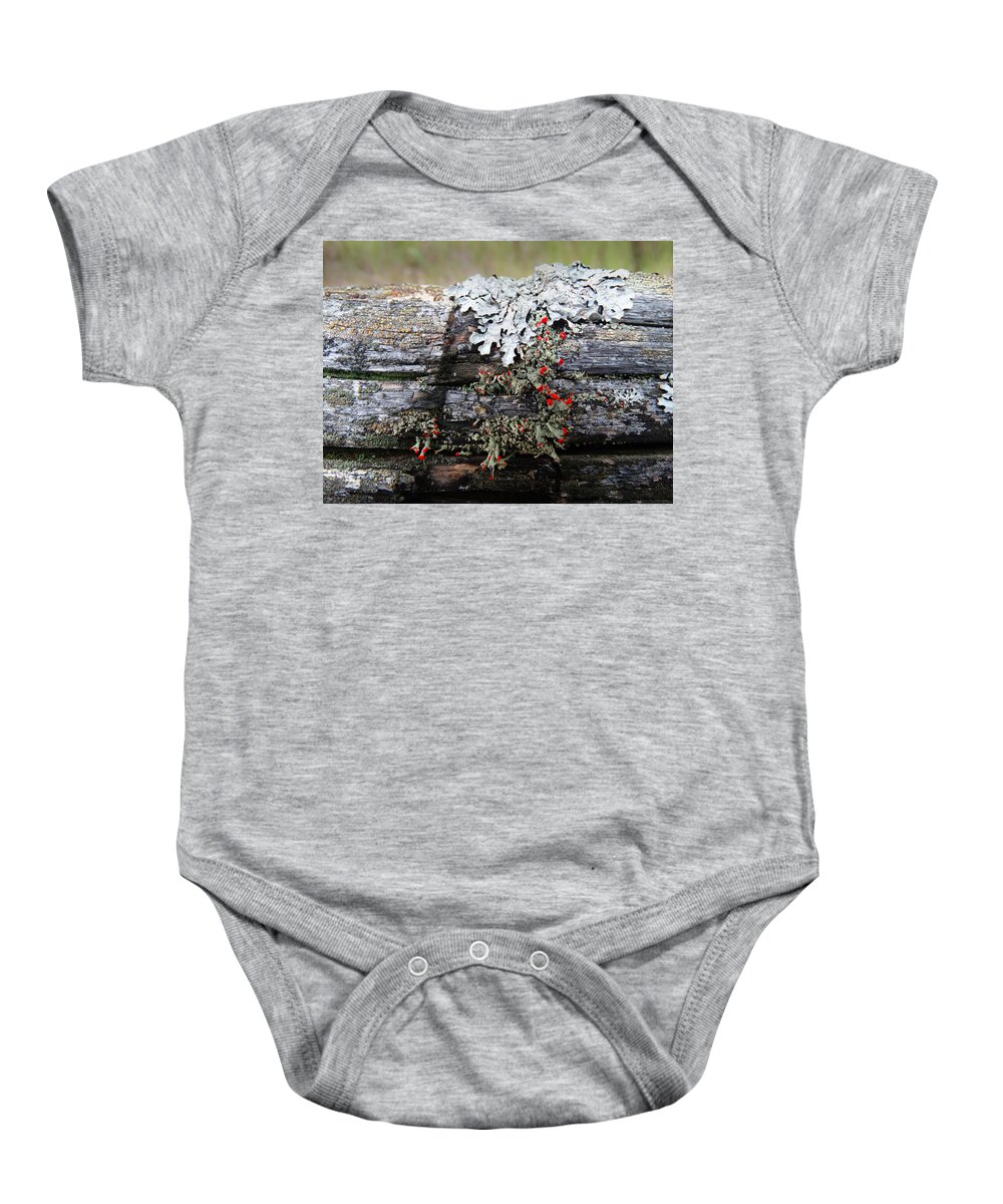 Growth Baby Onesie featuring the photograph Growth on a Fence Rail by David T Wilkinson