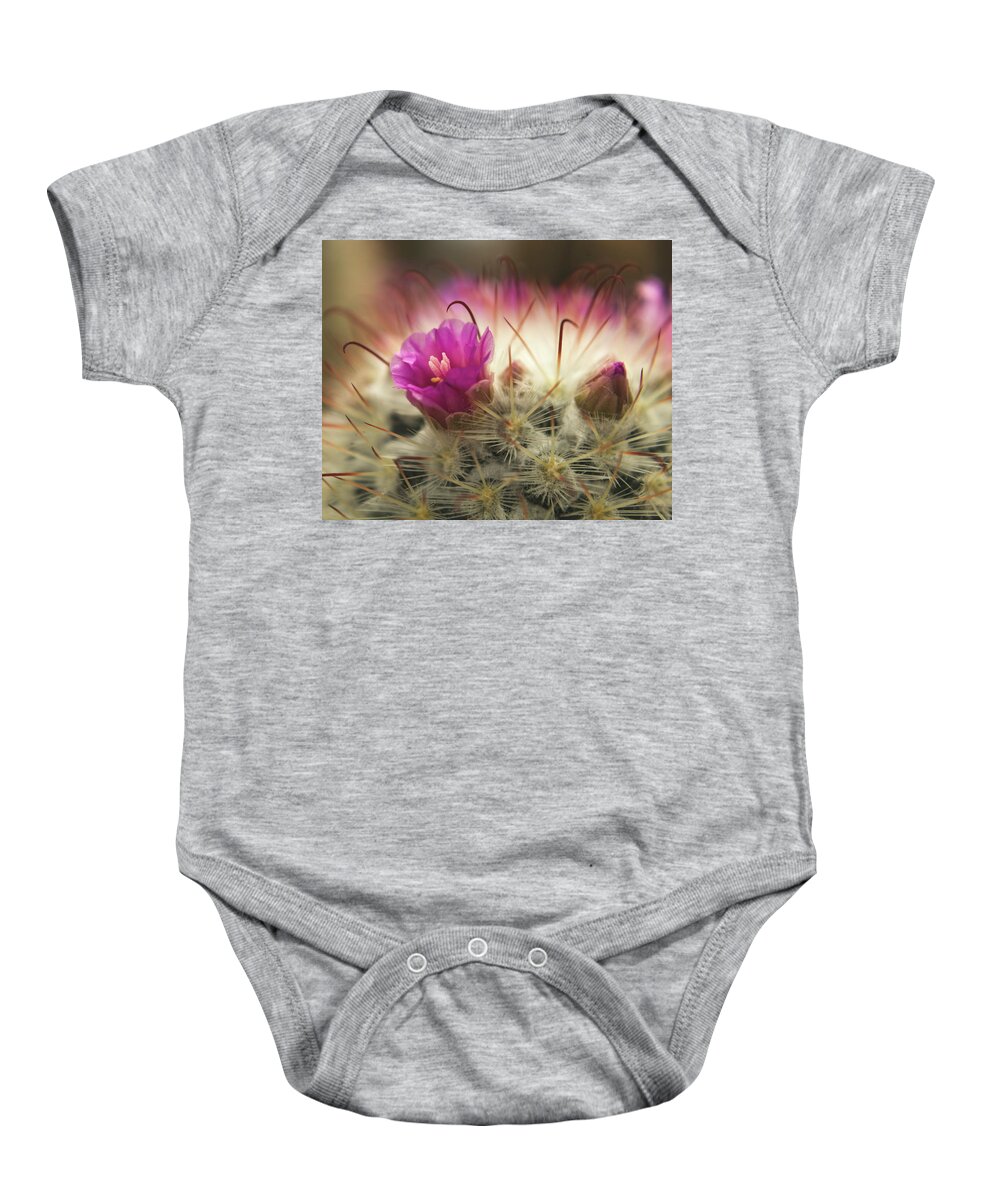 Cactus Baby Onesie featuring the photograph Handle with Care by Holly Ross