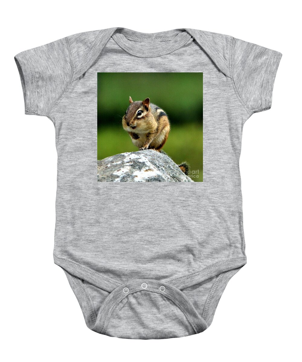 Chipmunk Baby Onesie featuring the photograph Happily Surprised Chipmunk by Dani McEvoy