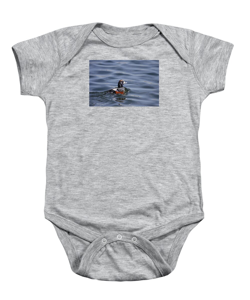 Gary Hall Baby Onesie featuring the photograph Harlequin Drake by Gary Hall