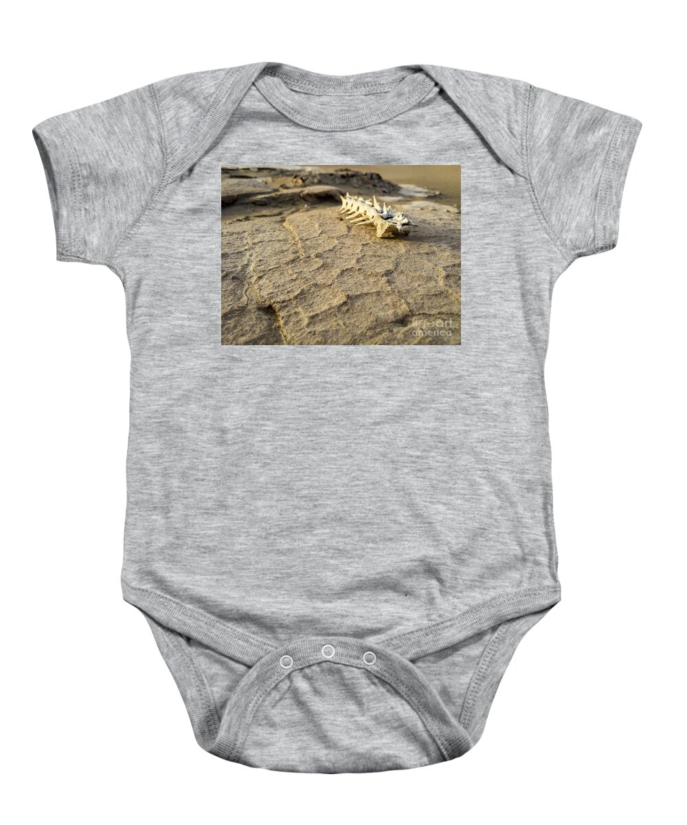 Adventure Baby Onesie featuring the photograph Harsh Reality by Charles Dobbs