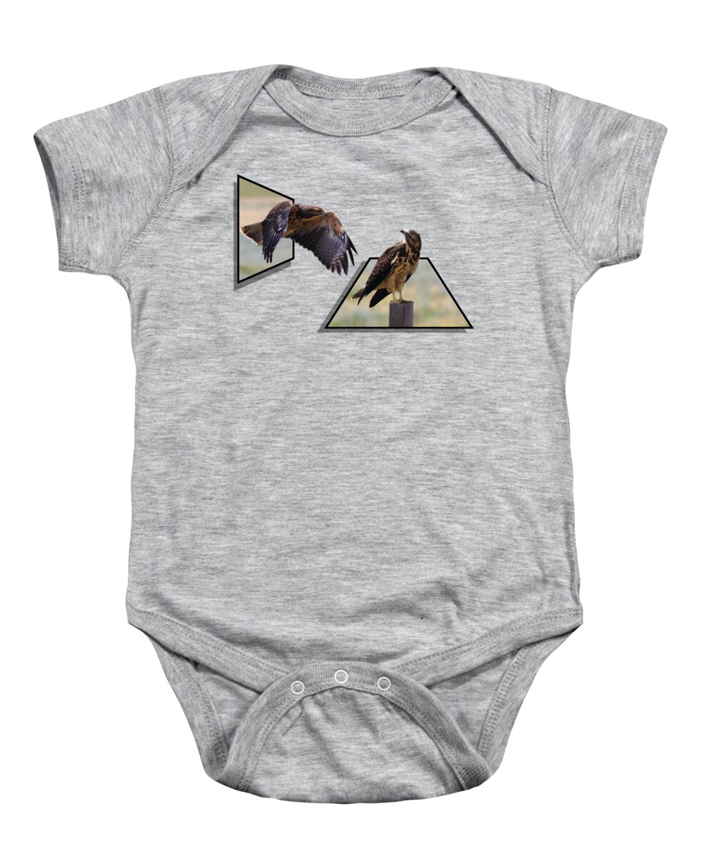 Hawk Baby Onesie featuring the photograph Hawks by Shane Bechler