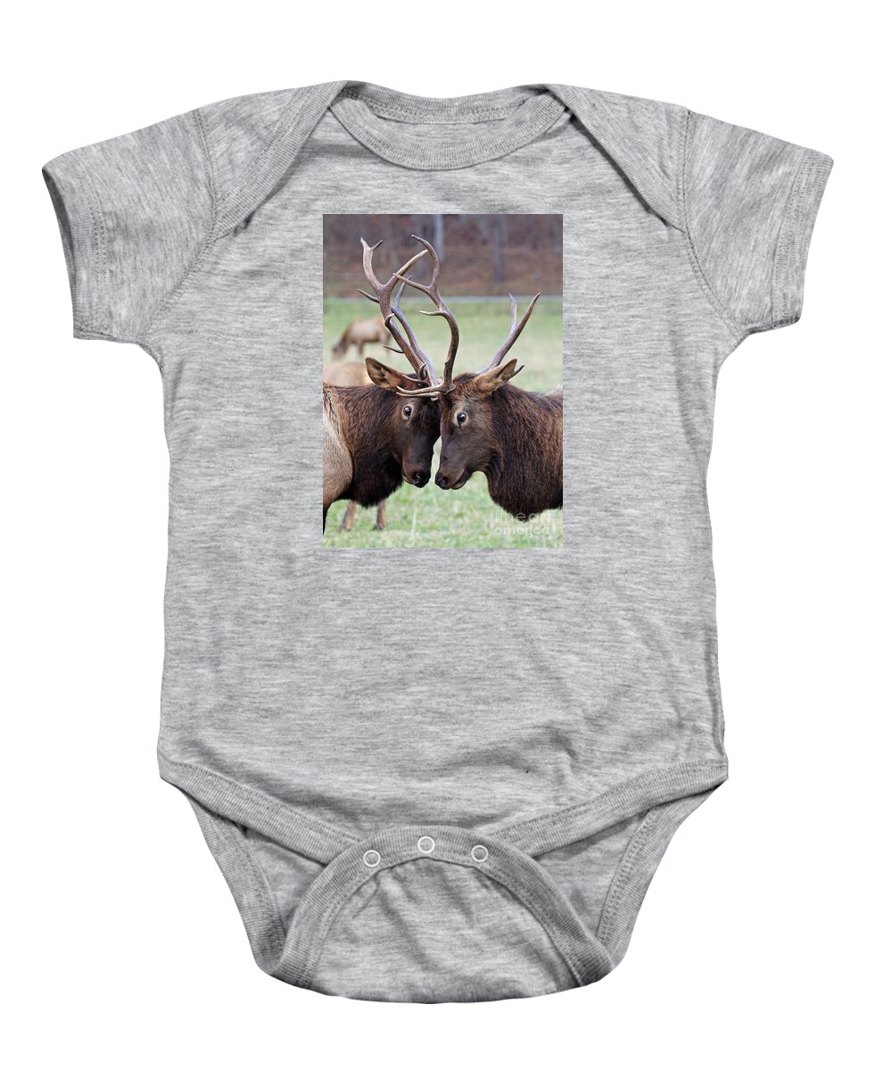 Bull Baby Onesie featuring the photograph Head to Head by Jennifer Robin