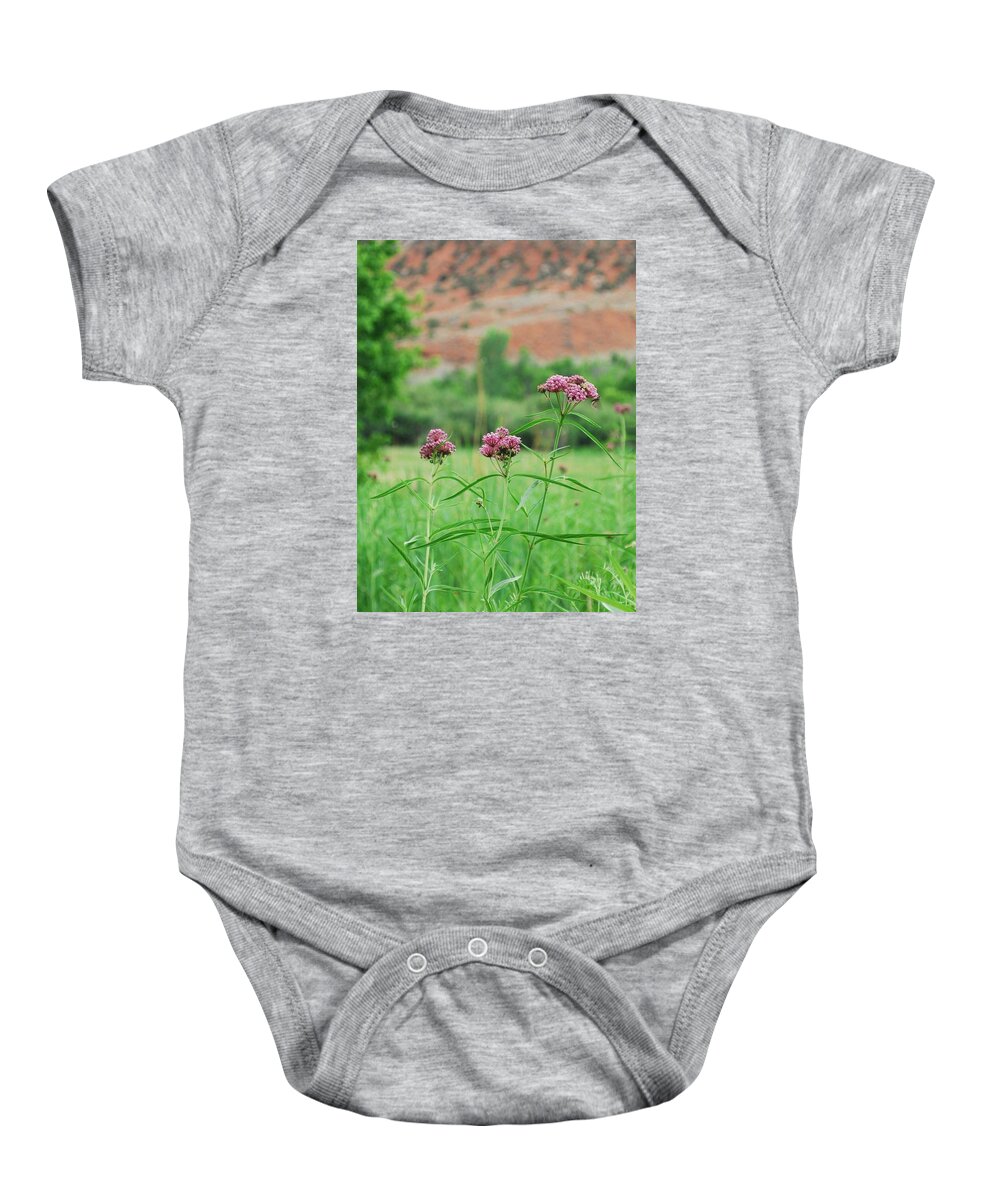 Dinosaur National Monument Baby Onesie featuring the photograph Heat Retreat by Brad Hodges