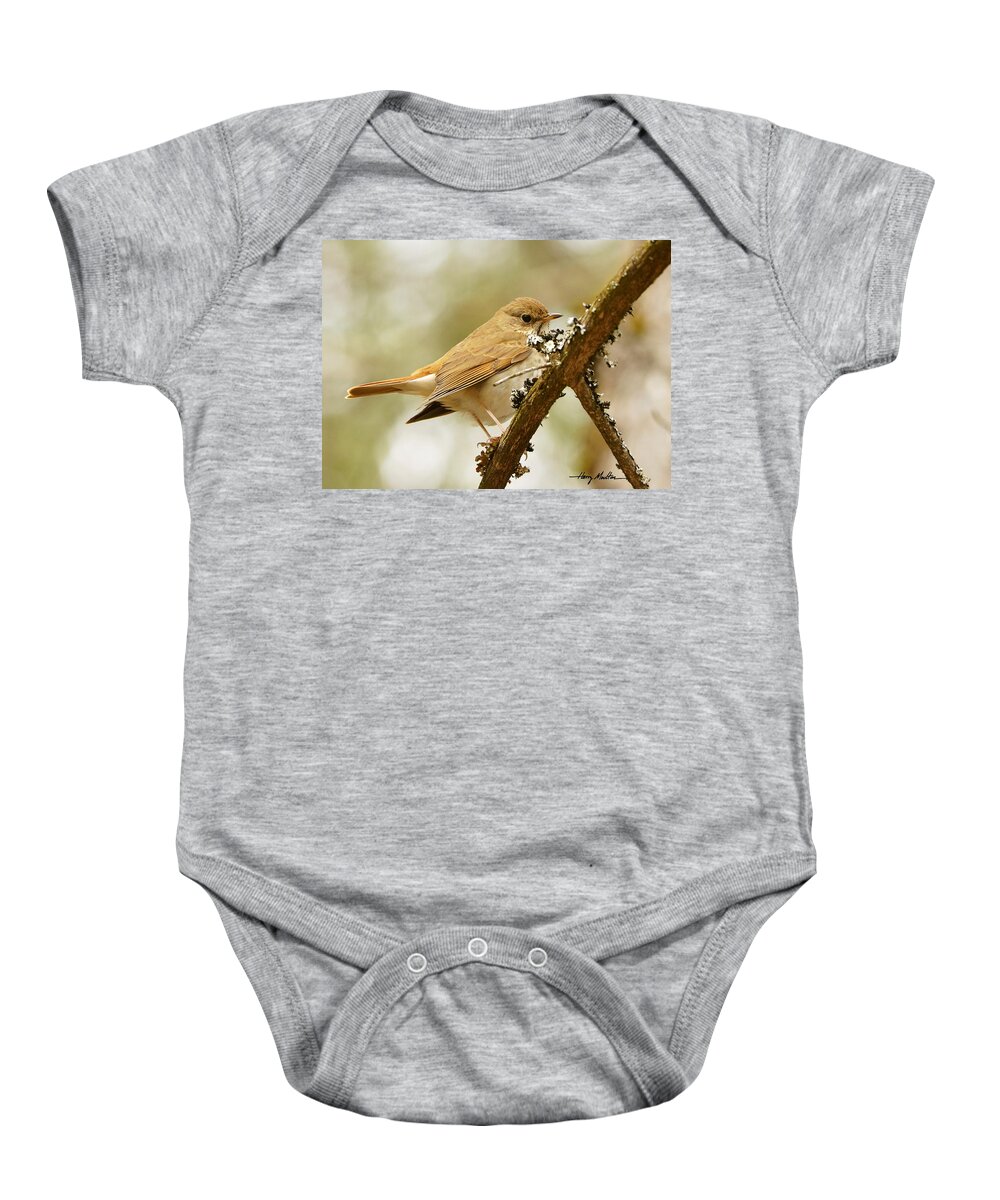 Bird Baby Onesie featuring the photograph Hermit Thrush by Harry Moulton