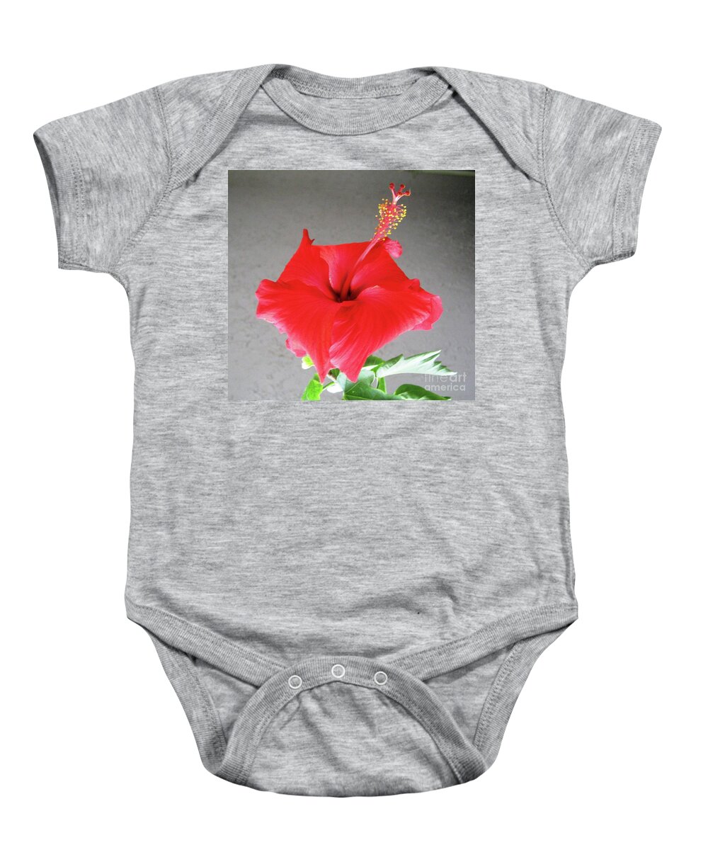 Red Baby Onesie featuring the photograph Hibiscus #1 by Cindy Schneider