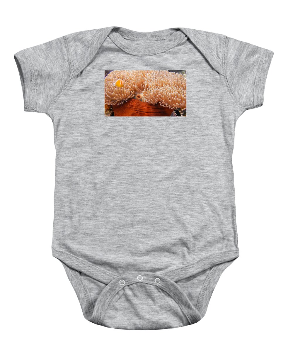 Clown Baby Onesie featuring the photograph Home of the Clown Fish 3 by Michael Scott