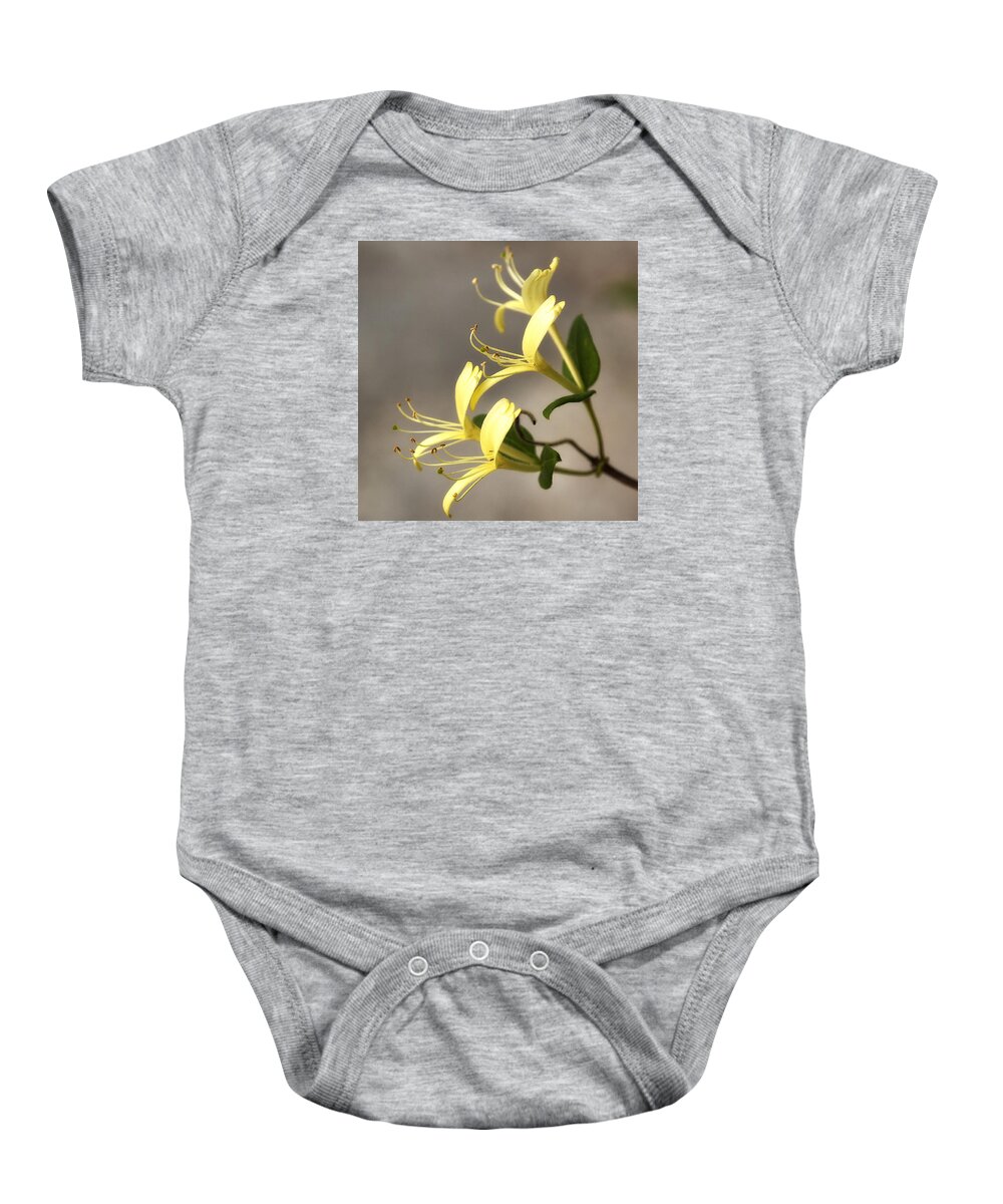 Floral Baby Onesie featuring the photograph Honeysuckle by Shirley Mitchell