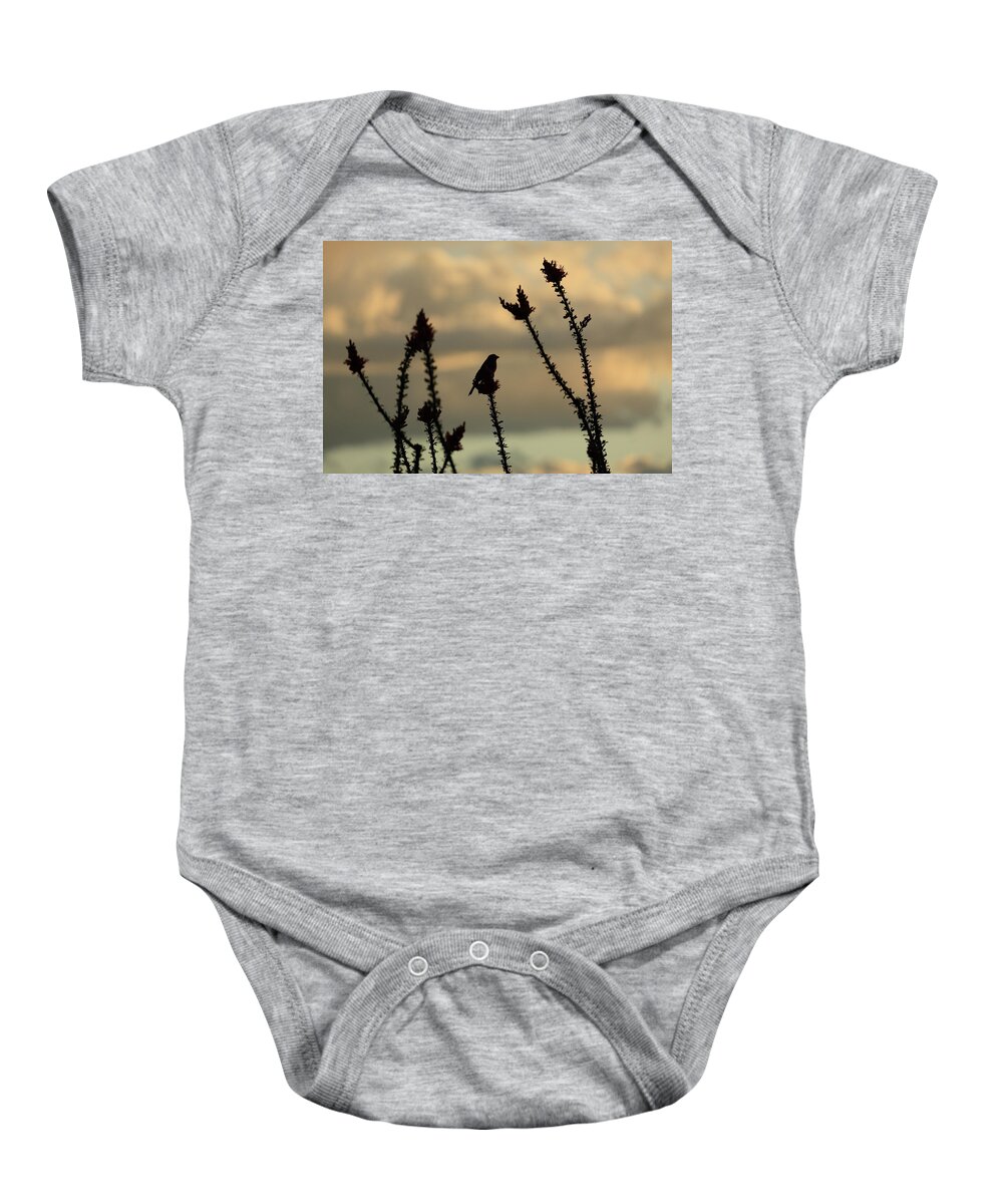 House Baby Onesie featuring the photograph House Finch by David Diaz