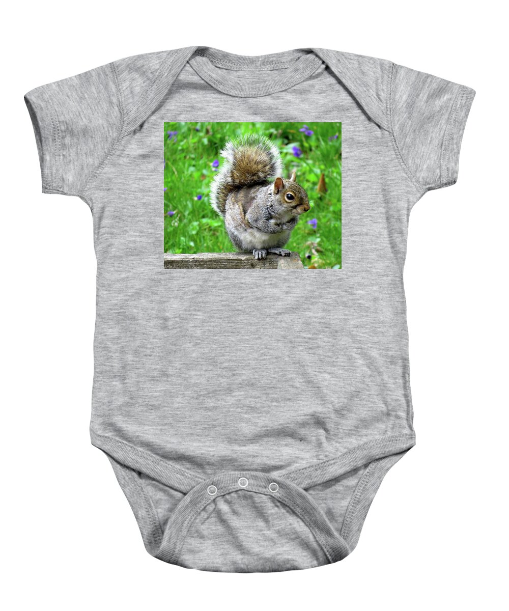 Eastern Grey Squirrels Baby Onesie featuring the photograph Humble Squirrel by Linda Stern