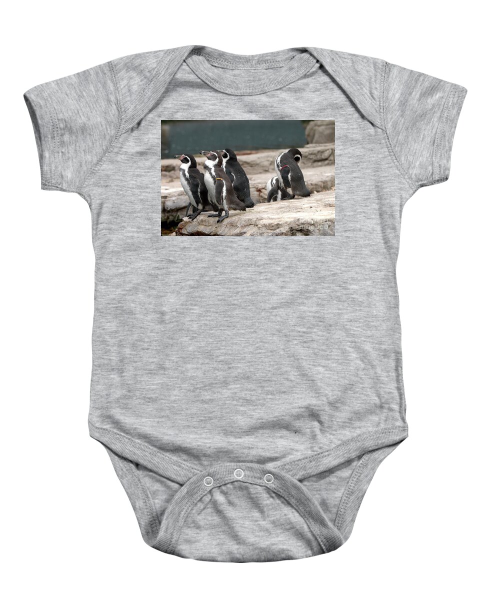 Bird Baby Onesie featuring the photograph Humboldt Penguins by Baggieoldboy