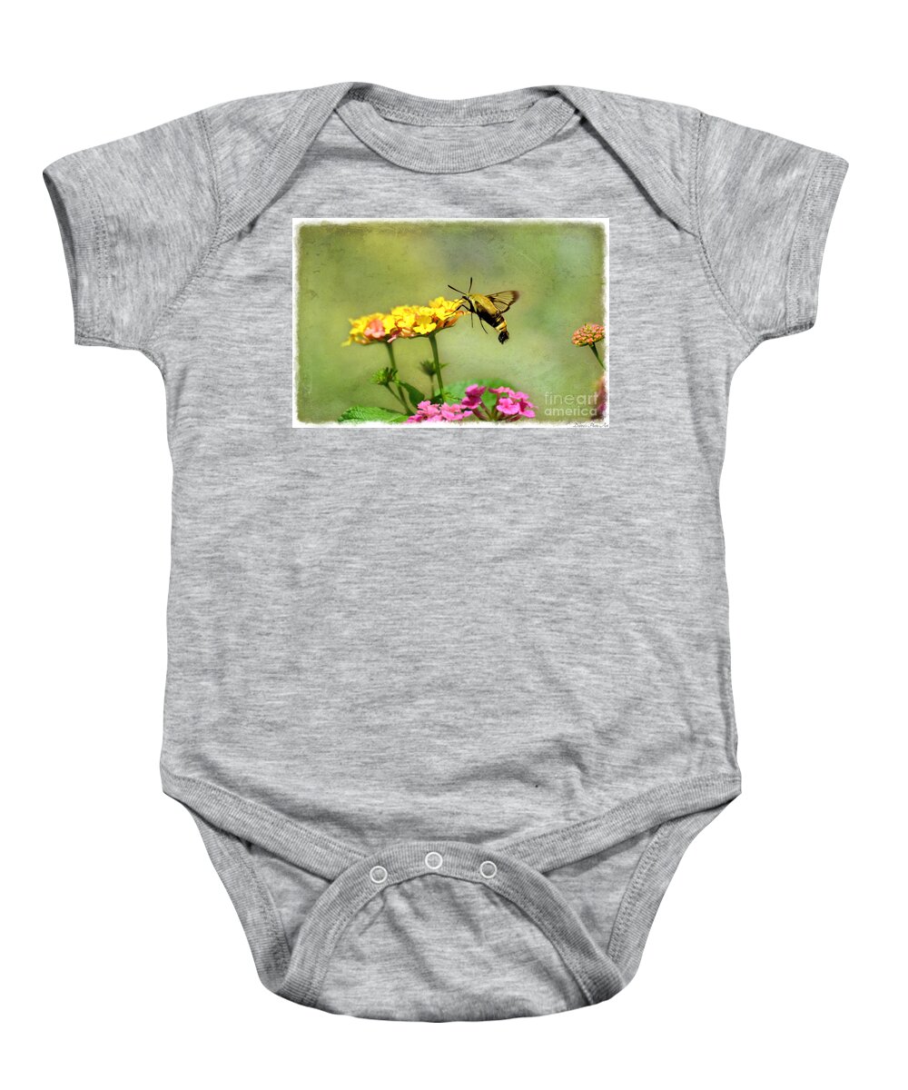 Moth Baby Onesie featuring the photograph Hummingbird Moth 2 by Debbie Portwood