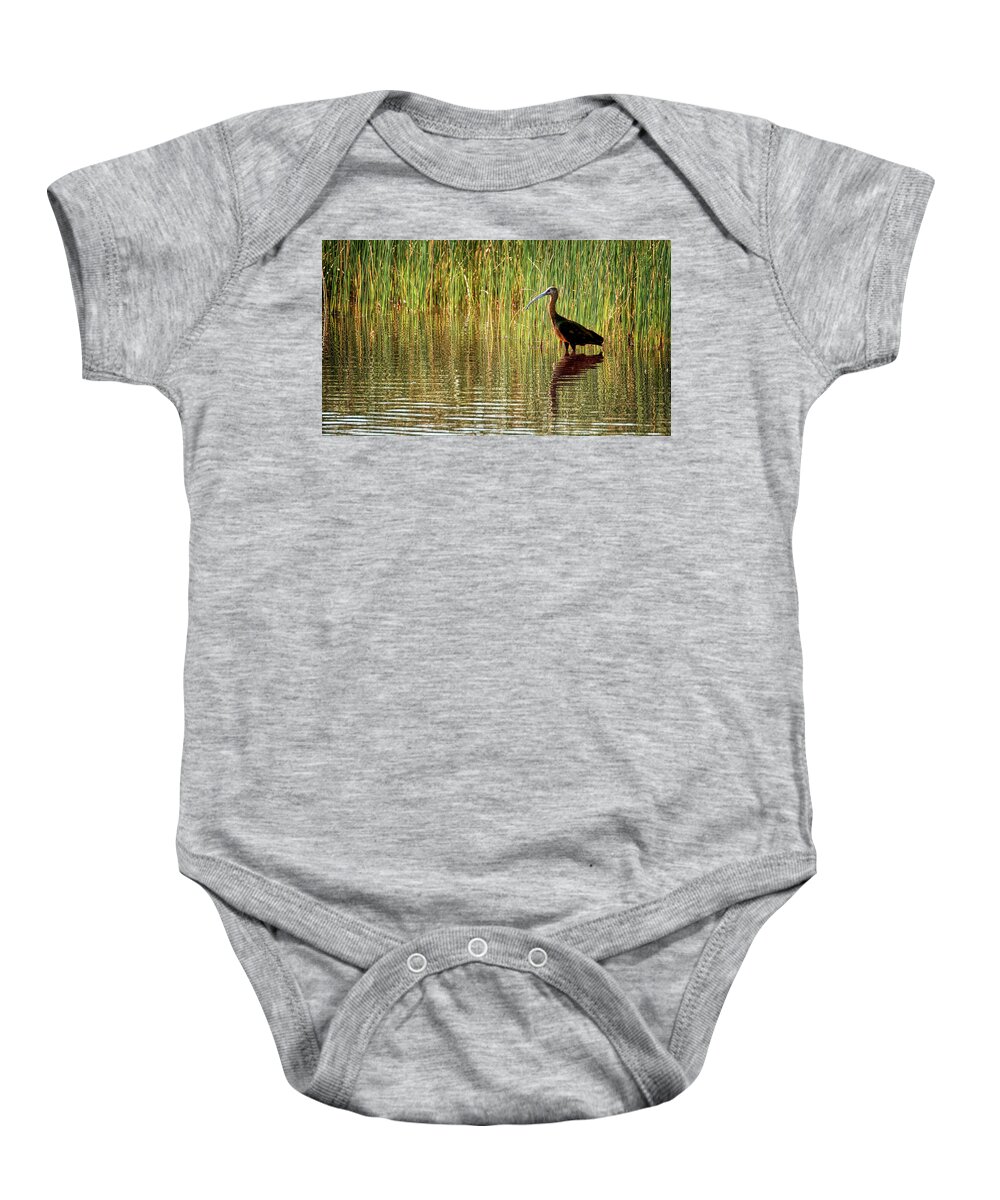 White Faced Ibis Baby Onesie featuring the photograph Ibis Reflections by Susan Rissi Tregoning