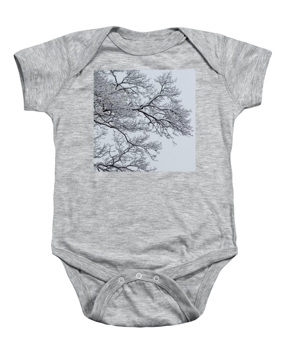 Ice Baby Onesie featuring the photograph Icey Winter Branch by Vic Ritchey
