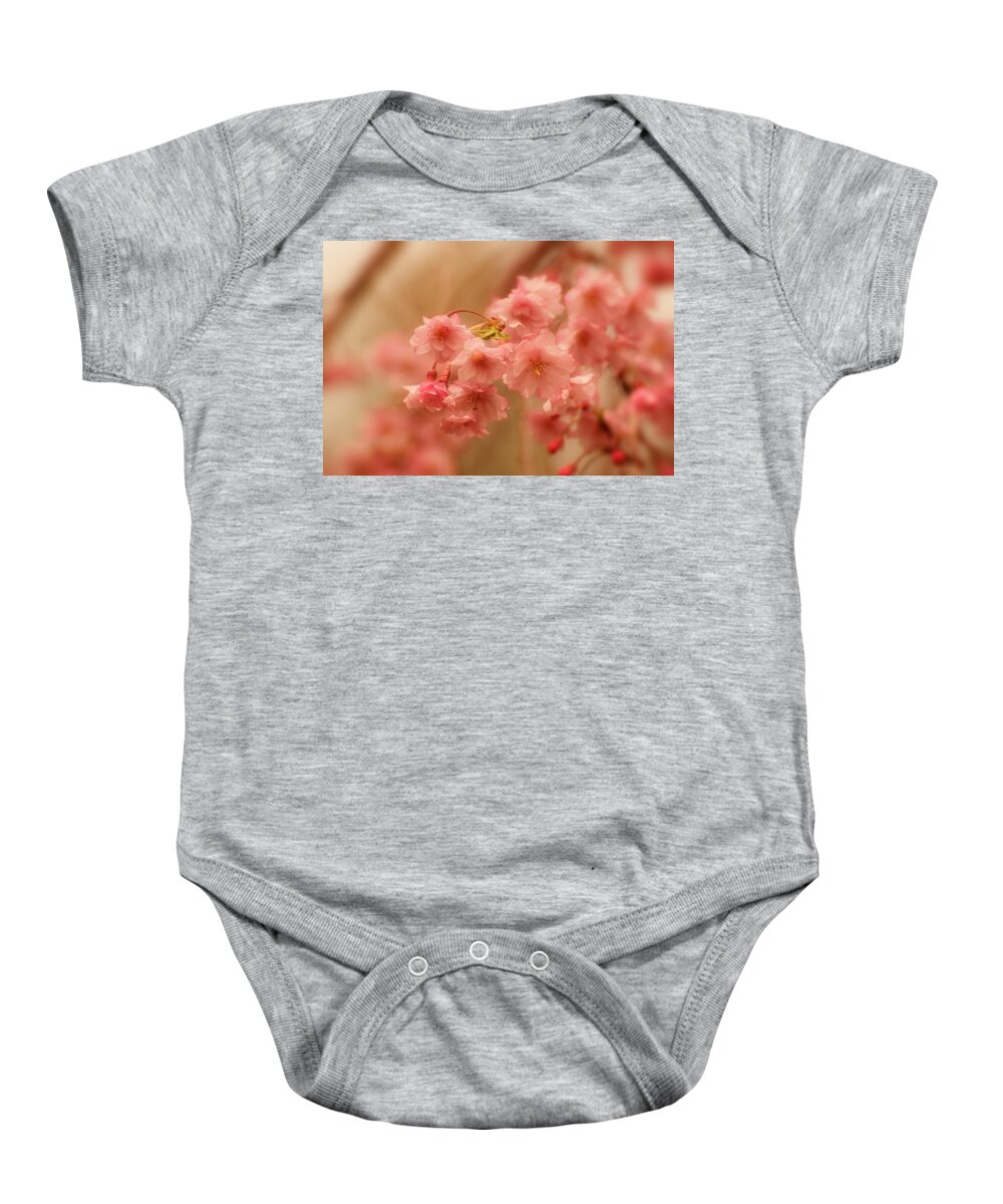 Cherry Blossom Trees Baby Onesie featuring the photograph If Only For A Moment by Angie Tirado