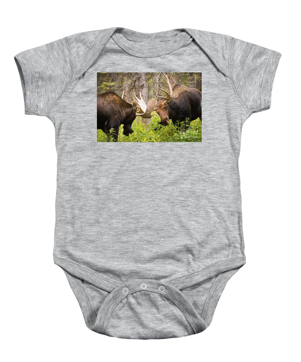 Bull Moose Baby Onesie featuring the photograph The Approach by Aaron Whittemore