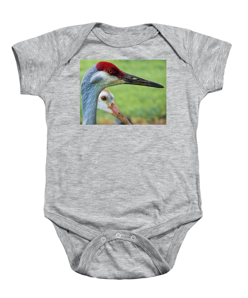 Sandhill Crane Baby Onesie featuring the photograph In Its Parents Shadow by DigiArt Diaries by Vicky B Fuller