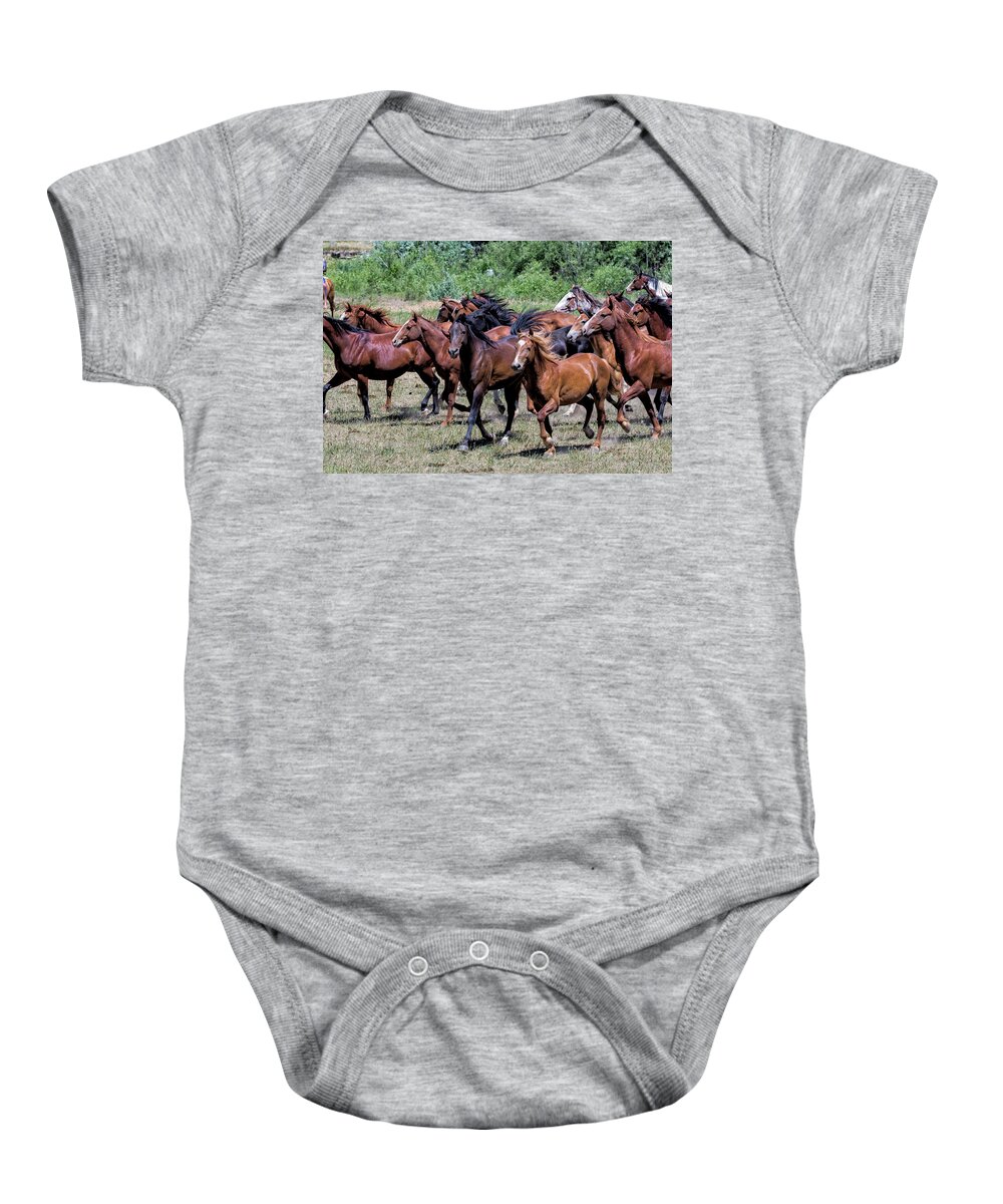Little Bighorn Re-enactment Baby Onesie featuring the photograph Indian Horse Roundup 3 by Donald Pash