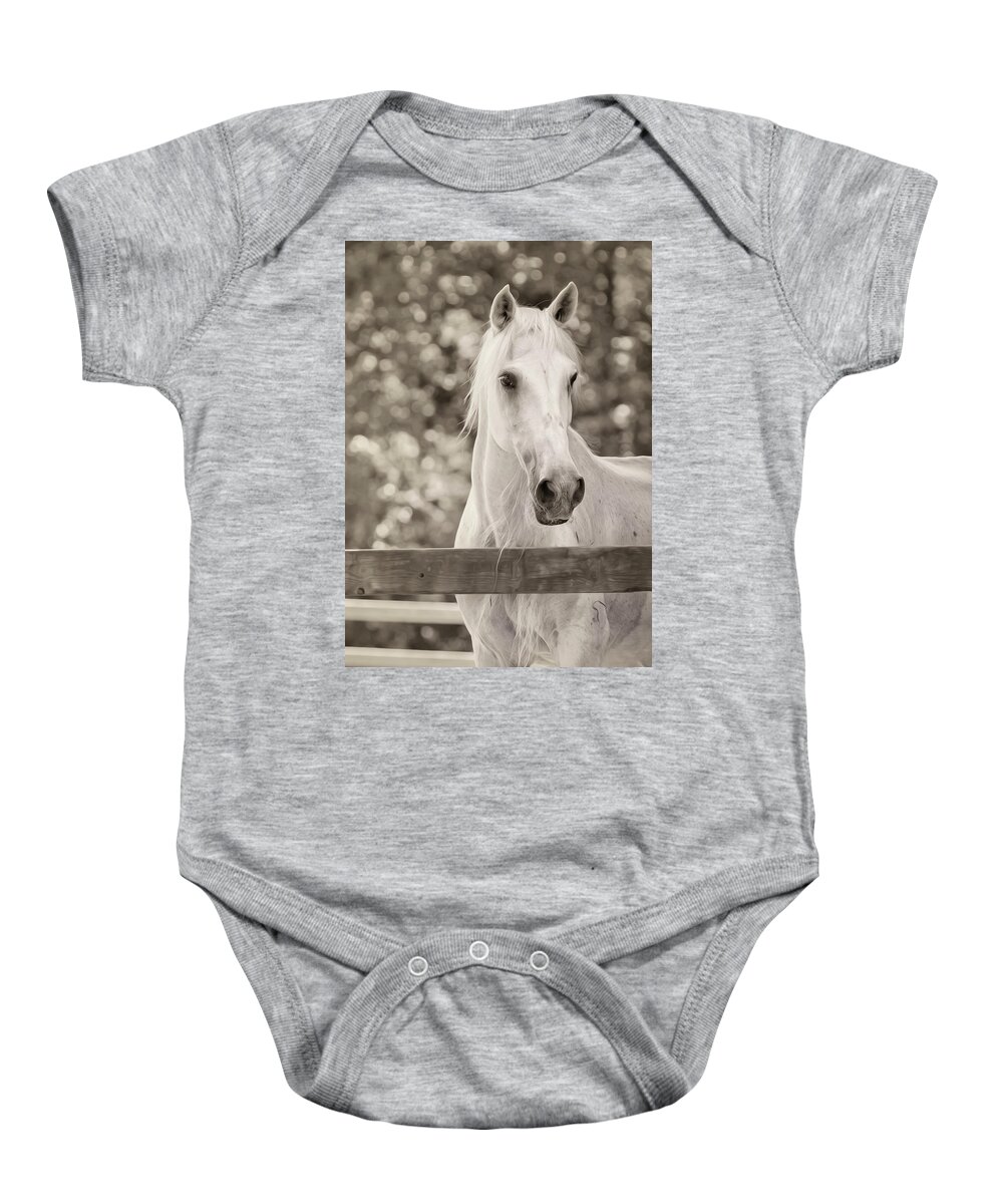 Horse Baby Onesie featuring the photograph Isabelle by Bill and Linda Tiepelman
