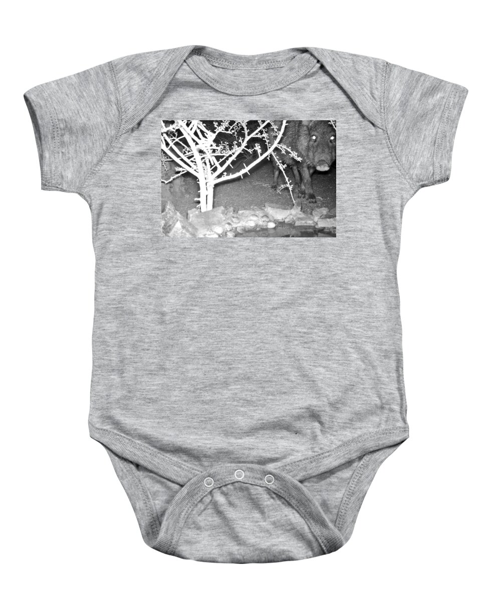 Animals Baby Onesie featuring the photograph Javelina - Collared Peccary - at Night by Judy Kennedy